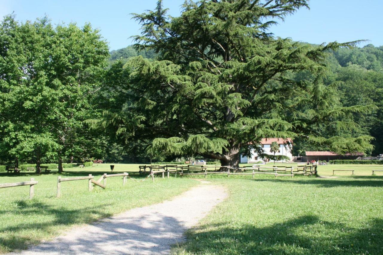 Apartamento Rural אליסונדו מראה חיצוני תמונה